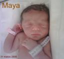 maya-nata-31-marzo-2008.jpg